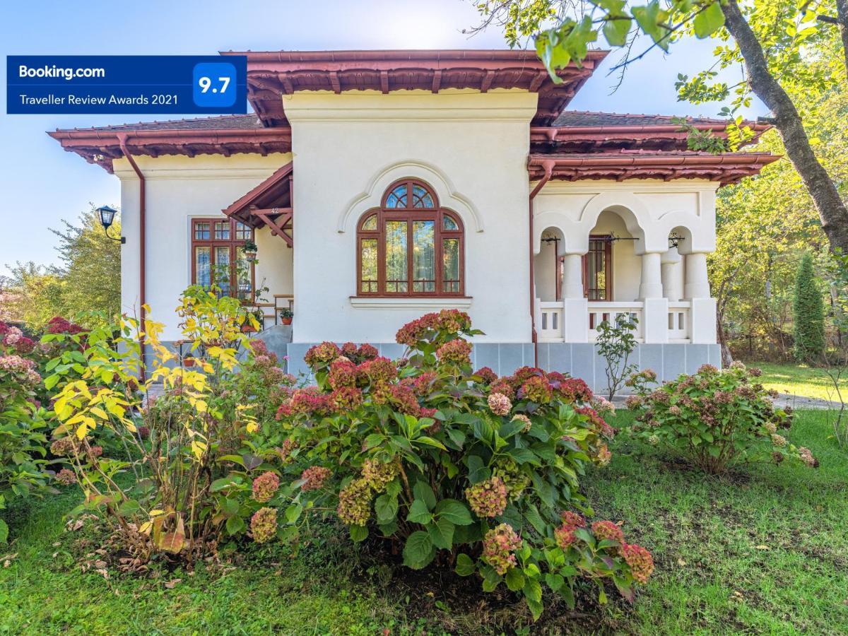 Villa Art Deco Câmpina Exterior photo
